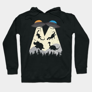 Close Encounters: UFOs Abducting Dinosaurs Design Hoodie